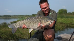 Ловля амура в Завидово. Часть вторая.