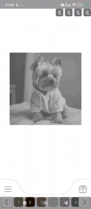 распоковка  табо лапок