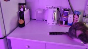 Уборка #501 идеальная комната)