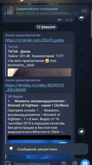 доказательства того что у меня есть телеграмм канал
