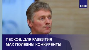 Песков: для развития Max полезны конкуренты