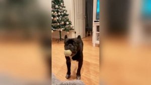 #смешныевидео -924