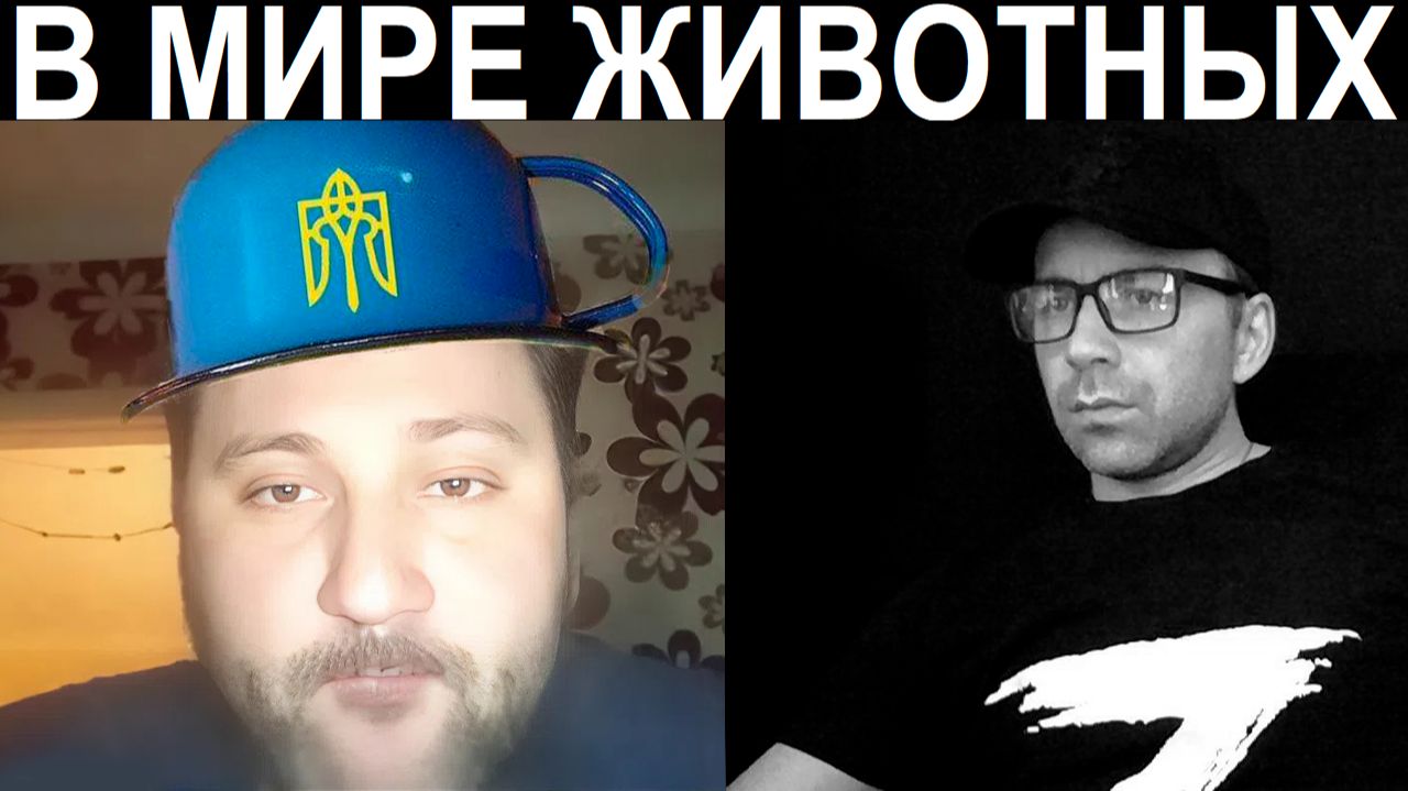 Кастрюля о здравомыслии. Чат рулетка смотреть онлайн