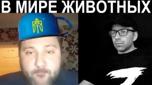 Кастрюля о здравомыслии. Чат рулетка