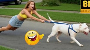 Подборка Смешных Видосов