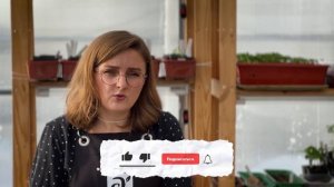 ПОСЕВ КАРТОФЕЛЯ СЕМЕНАМИ! Легко и просто!