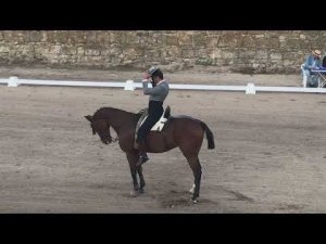 Соревнования по выездке вакеро в Испании