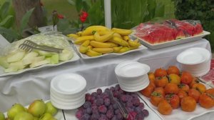 Об отдыхе в отеле Botanik Platinum 5*Турция