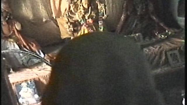 2003 год. ВРИНДАВАН  3.1