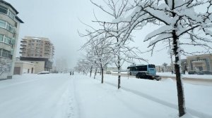 Снегопад в Таразе