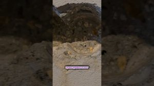 Выезд на объект заказчика