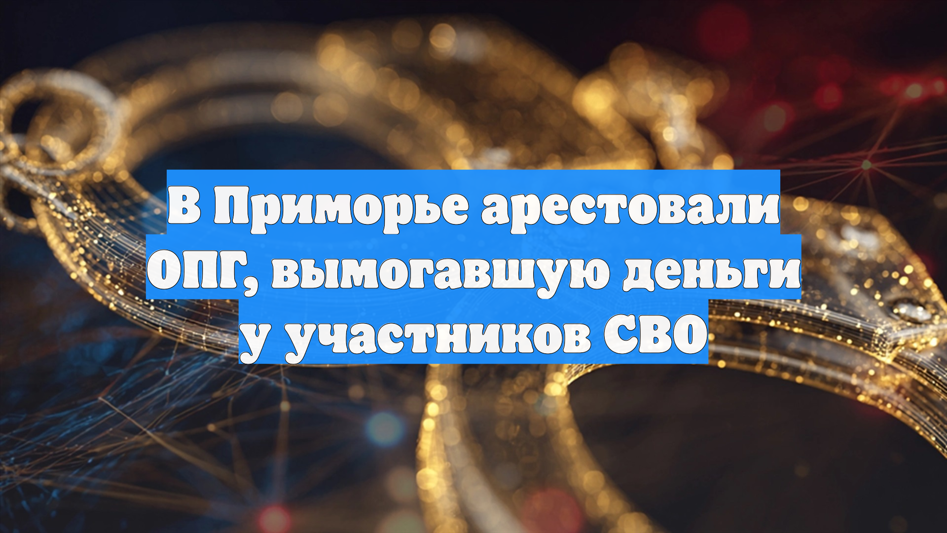 В Приморье арестовали ОПГ, вымогавшую деньги у участников СВО смотреть онлайн
