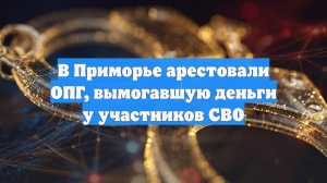 В Приморье арестовали ОПГ, вымогавшую деньги у участников СВО