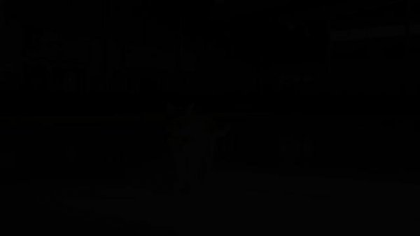 Кот танцует на коньках под Джорджа Майкла