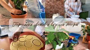 Ритуалы весны для радостного настроения