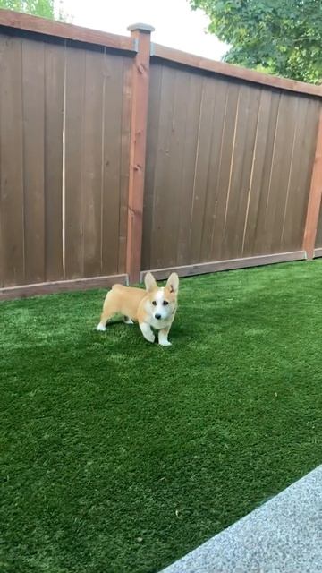 Такой концовки я и сам не ожидал (211) смотреть онлайн