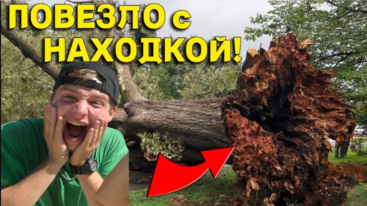 НАХОДКА в Корнях ДУБА была Неожиданной, Давно так не ВЕЗЛО на Копе в Лесу! смотреть онлайн