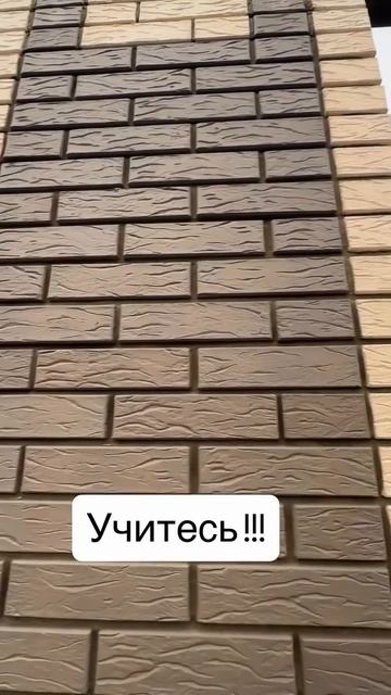 Учитксь!
