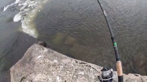 Убойная рыбалка на Севере! Река Воркута.