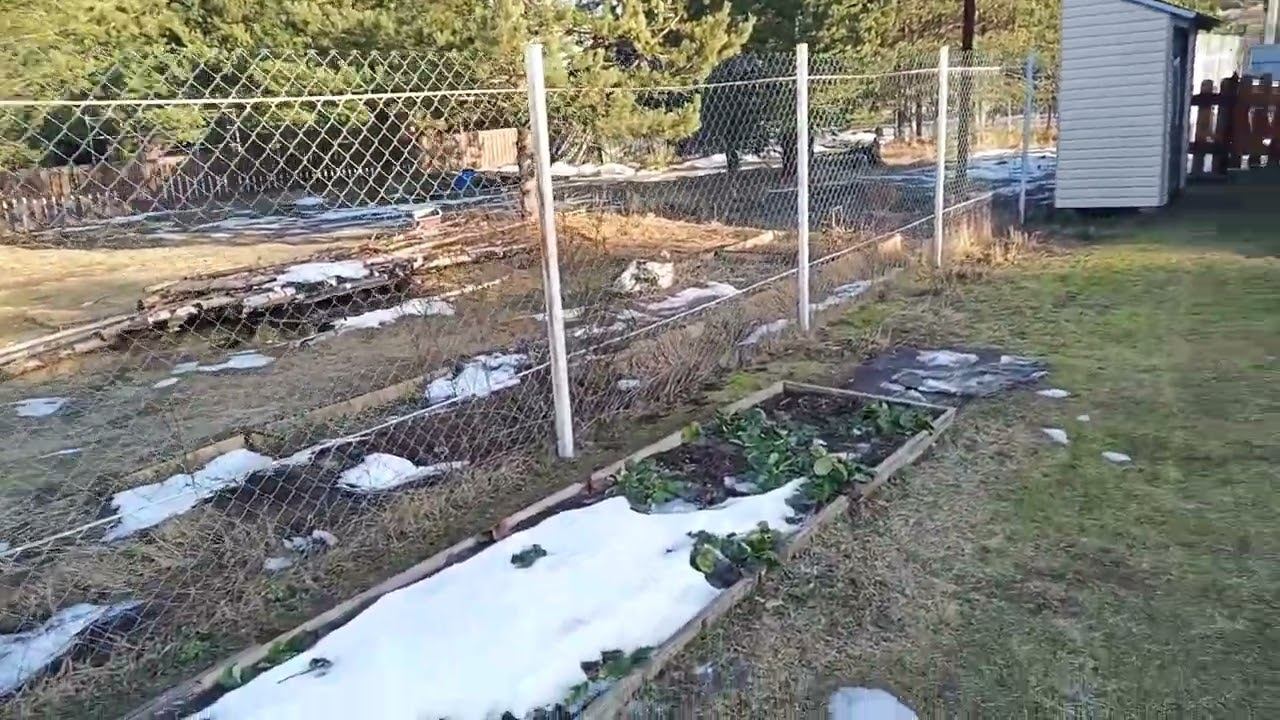 злит январская оттепель