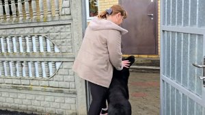 ✨️Влог двух дней✨️ Первые всходы✨️ Луковые лепёшки✨️