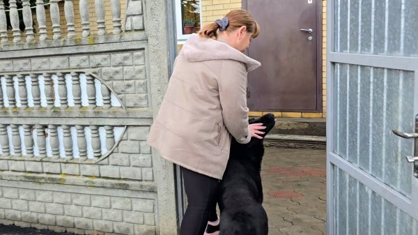 ✨️Влог двух дней✨️ Первые всходы✨️ Луковые лепёшки✨️