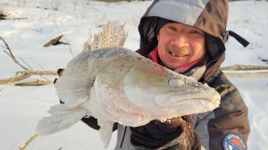 ЭТА ПОКЛЁВКА КАК УДАР КУВАЛДОЙ. Крупный судак на подлёдный джиг.