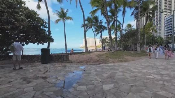 🌴_WAIKIKI_TODAY!_February_13,_2026_🌴_Walk_to_the_Hilton_Hawaiian