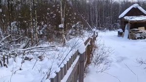 ЗАГОТОВКА ДРОВ