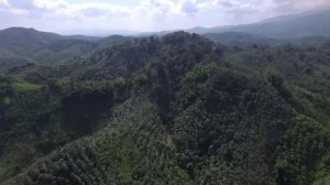 Четыре правила жизни, необходимых для существования в меняющемся мире