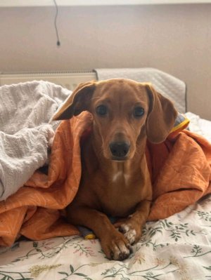 еду после танцев