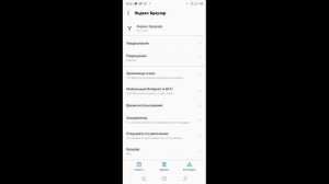 В телефоне браузер вылетает глючит зависает белый экран что делать?