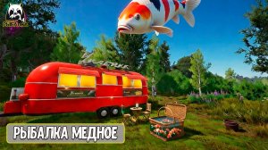 🔴 РР4/ рыбалка для души, ловим как универсал, обща