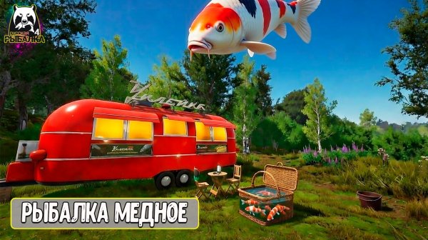 🔴 РР4/ рыбалка для души, ловим как универсал, обща