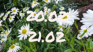 Лунный Календарь Комнатного цветовода с16.02-22.02.26г.