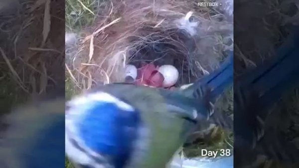 Природа удивительна!