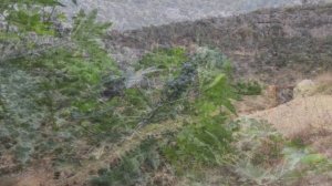 Турция, Анамур: Вид с высоты