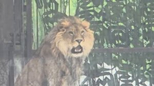 140226гШерхан проворонил гостейзасмотрелся в сторону Киары [get.gt]