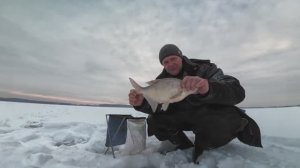 Эта снасть удивила, ловит леща лучше ведьмы. ДЬЯВОЛ теперь любимчик