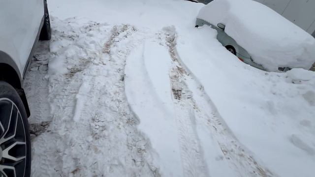 IMG_4357 смотреть онлайн