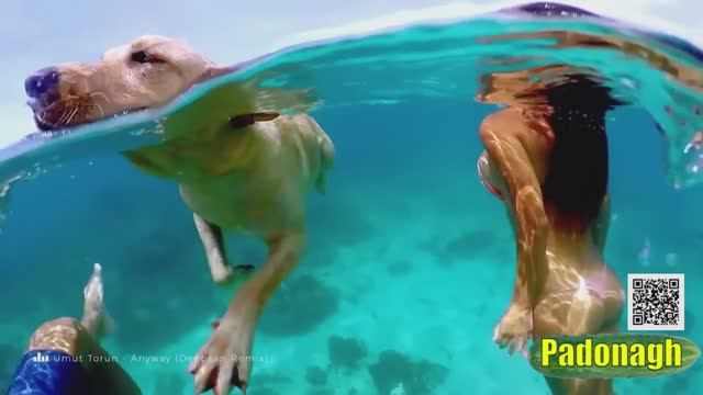 Ритмичная музыка и красивые девушки. Vol153