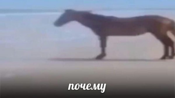 КРИНЖУЕМ - 6. Максим Дзюбка широкая юбка.