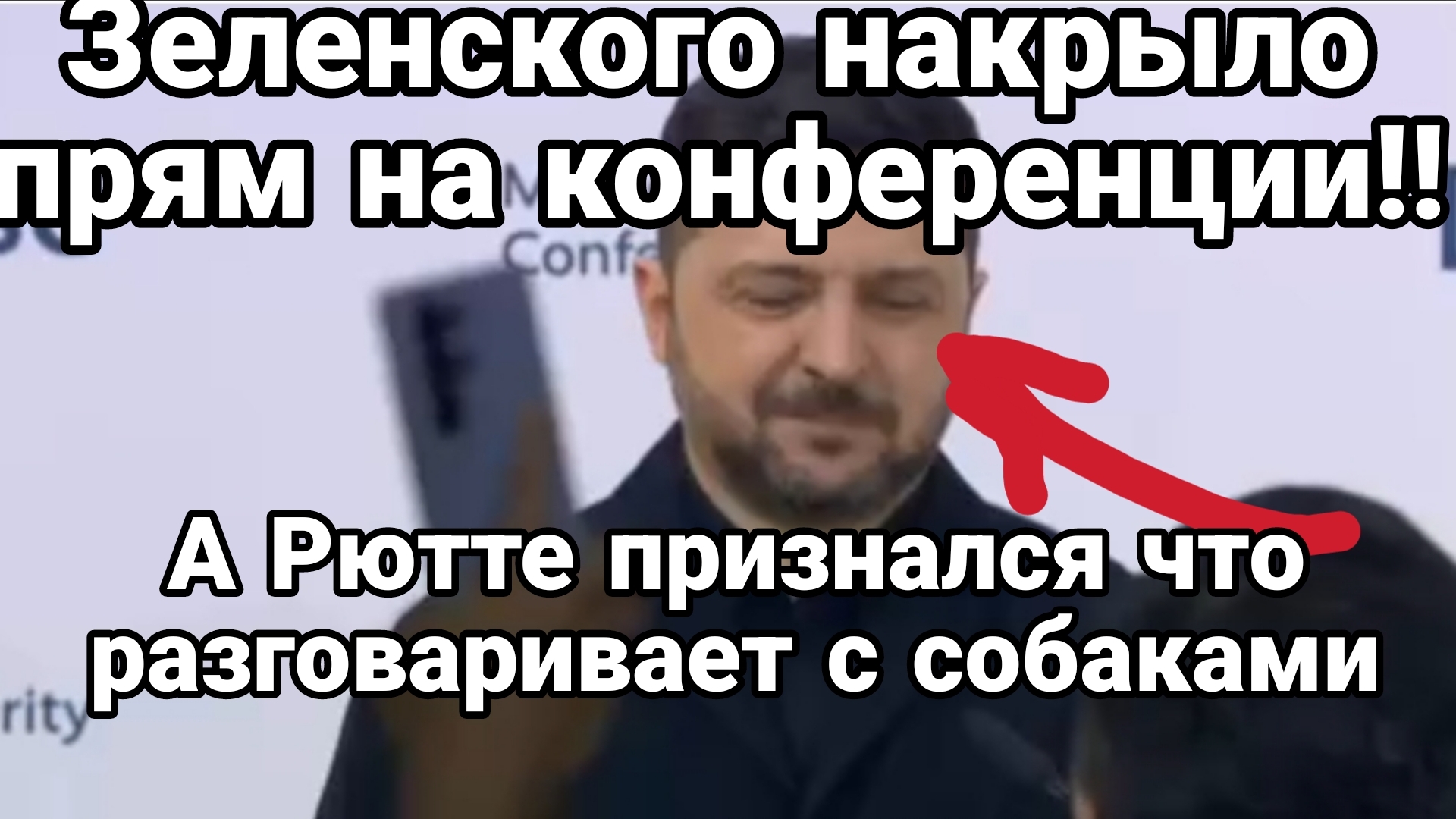 ЗЕЛЕНСКОГО ВШТЫРИЛО ПРЯМ ВО ВРЕМЯ КОНФЕРЕНЦИИ РЮТТЕ ГОВОРЯЩИЙ С СОБАКАМИ смотреть онлайн