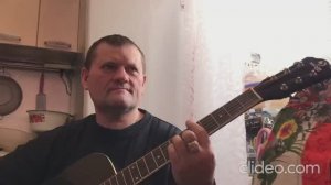 Чёрные лебеди