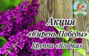 Акция "Сирень Победы" в группе Ягодка