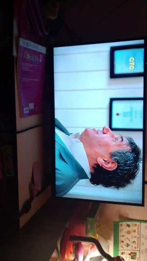 Папины дочки