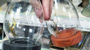 ФИКС ПРАЙС🌸 БОЛЬШОЙ ЗАВОЗ ТОВАРОВ🔥В Феврале 2026г.