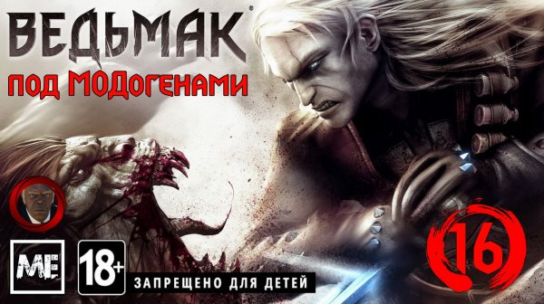 The Witcher [под модами] #16