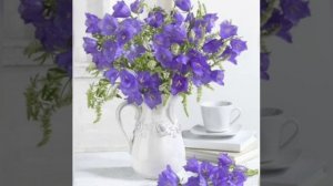 2(две) минуты нежности...