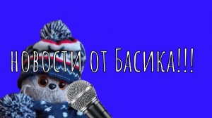 БАСО-НОВОСТИ. Самая важная информация о котах Басиках.